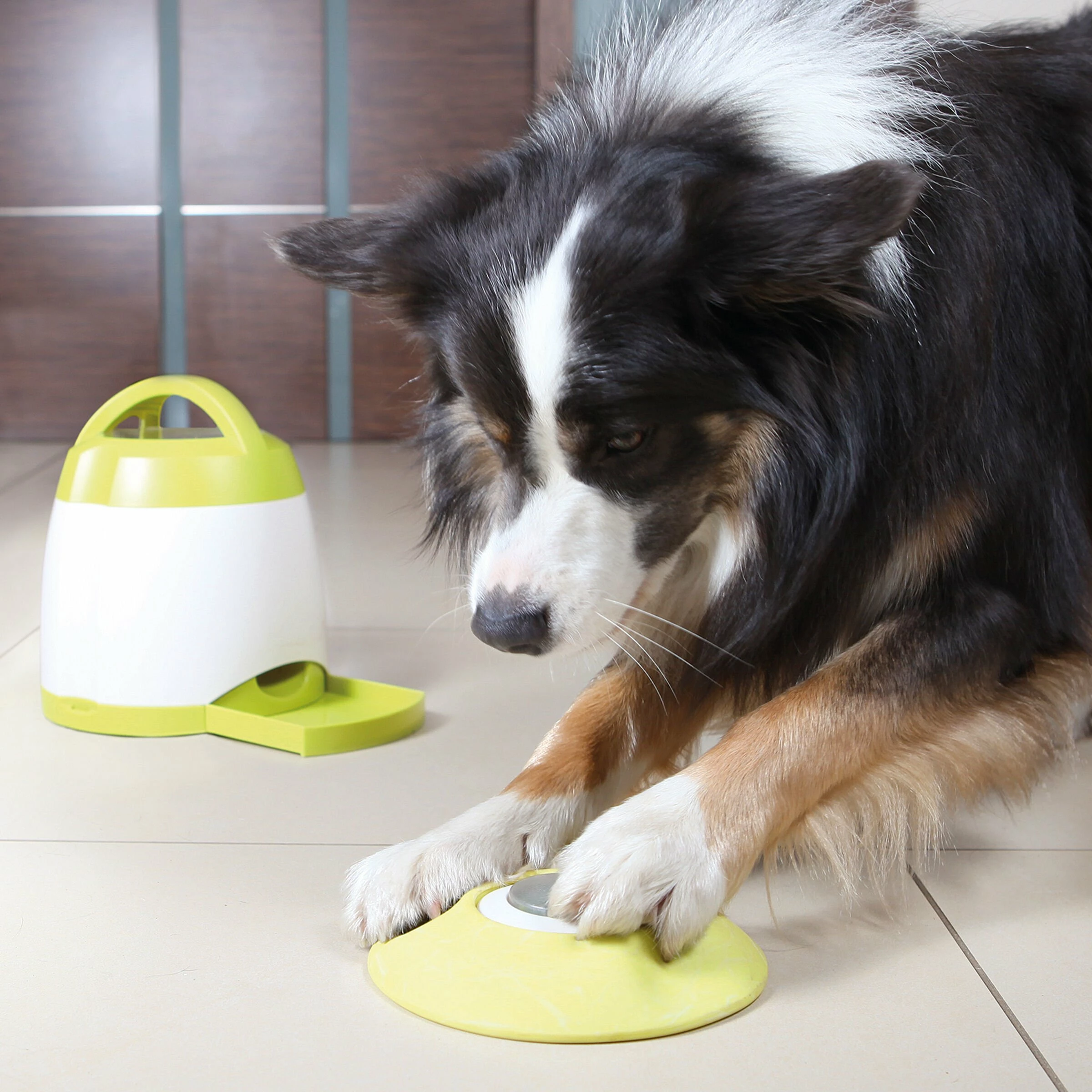 Trixie Dog Activity Memory Trainer Intelligenzspielzeug D=20x24cm - Image 2