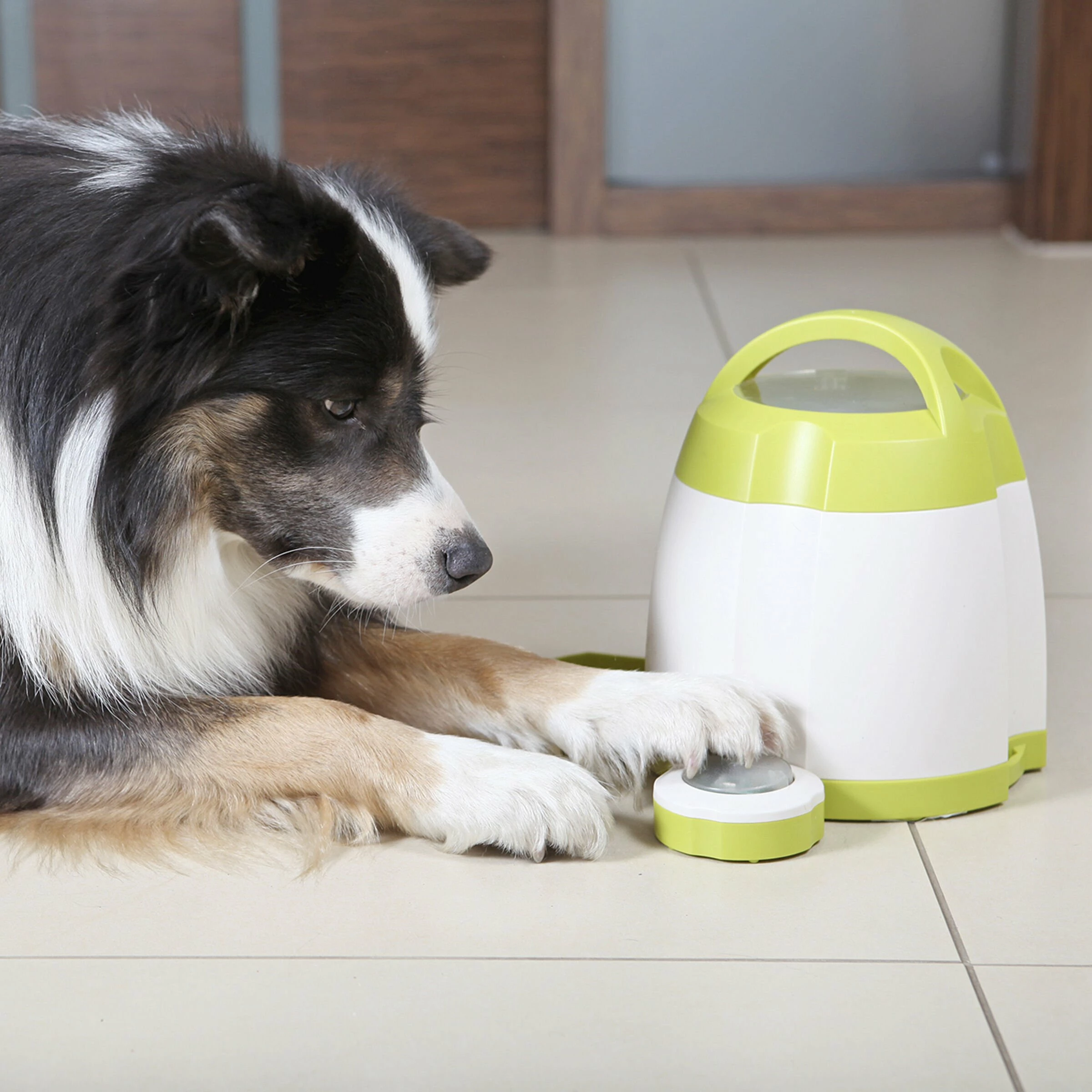 Trixie Dog Activity Memory Trainer Intelligenzspielzeug D=20x24cm - Image 3