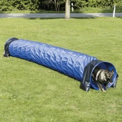 FREEZACK Dog Activity Agility BasicTunnel D=60cm Blau