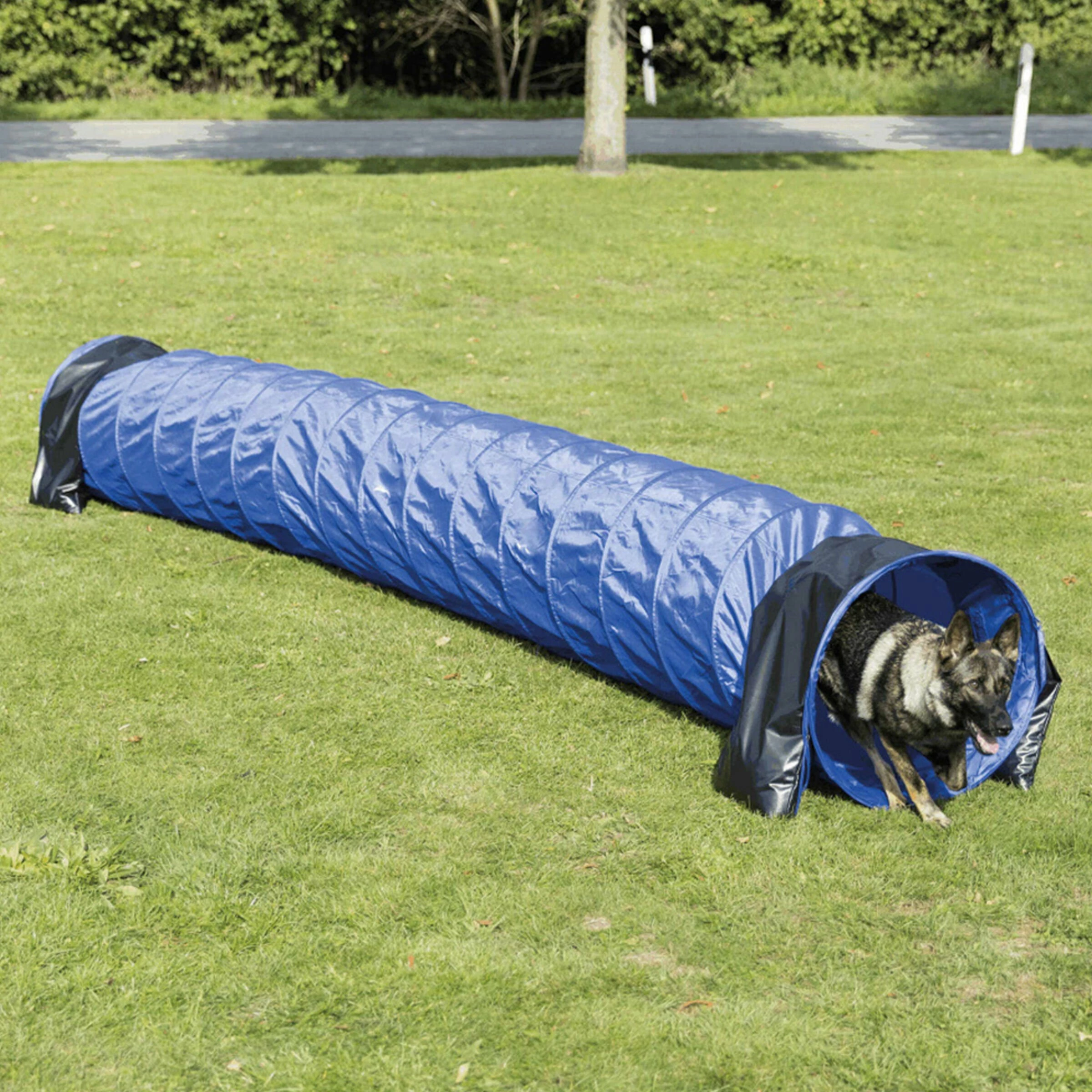 FREEZACK Dog Activity Agility BasicTunnel D=60cm Blau