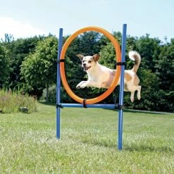 KONG Dog Activity Agility Ring
