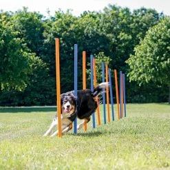 FREEZACK Dog Activity Agility Safer Slalom