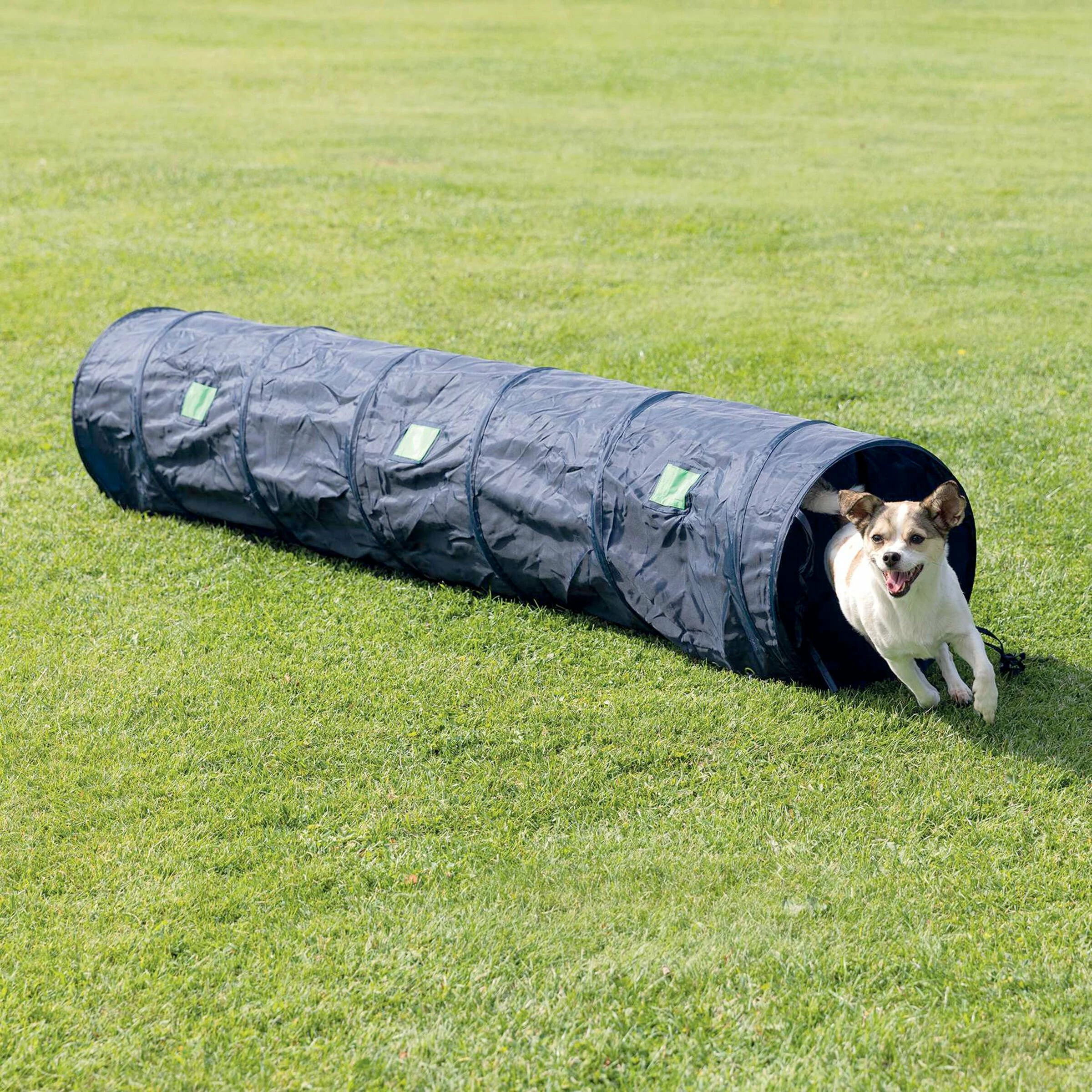 FREEZACK Dog Activity Agility Tunnel D=40cm Blau
