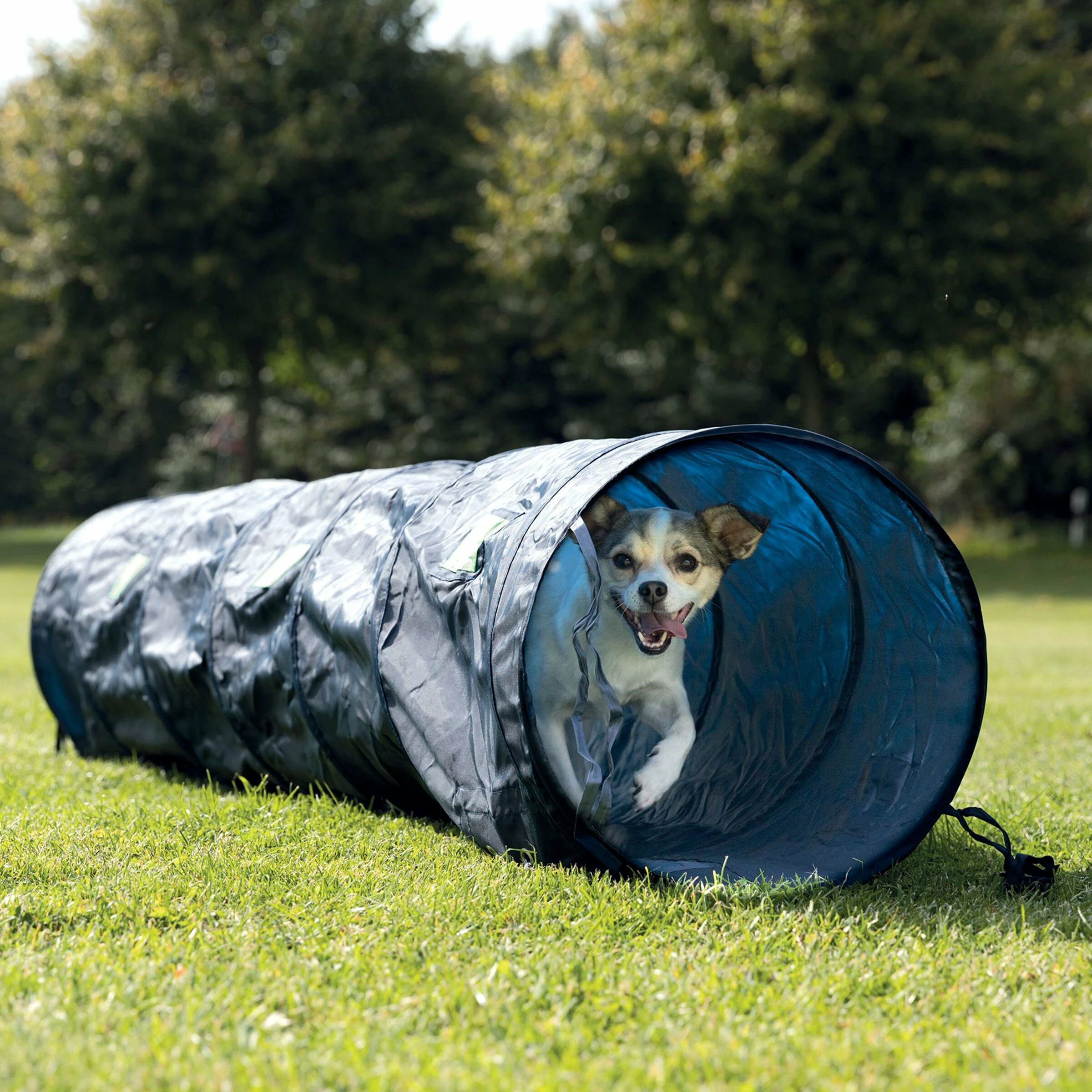 FREEZACK Dog Activity Agility Tunnel D=40cm Blau - Image 2
