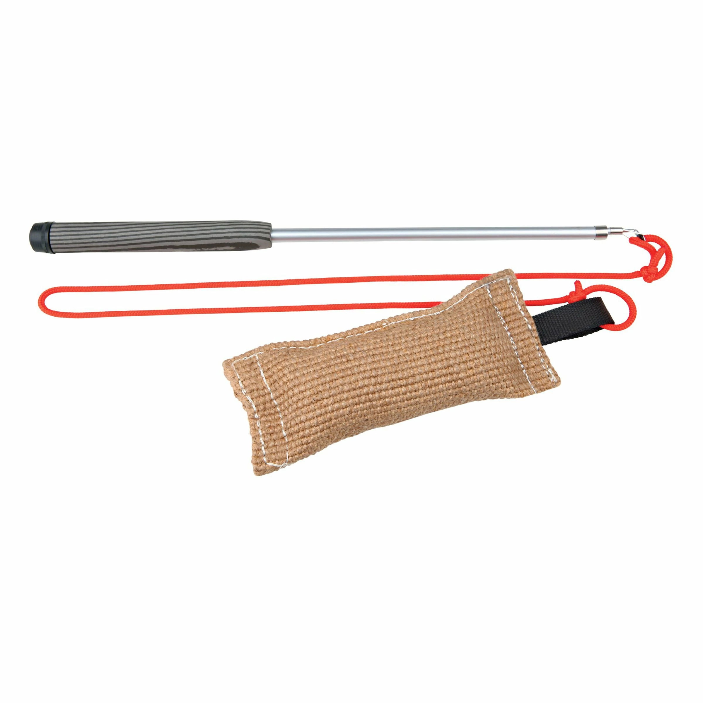 Trixie Dog Activity Reizangel