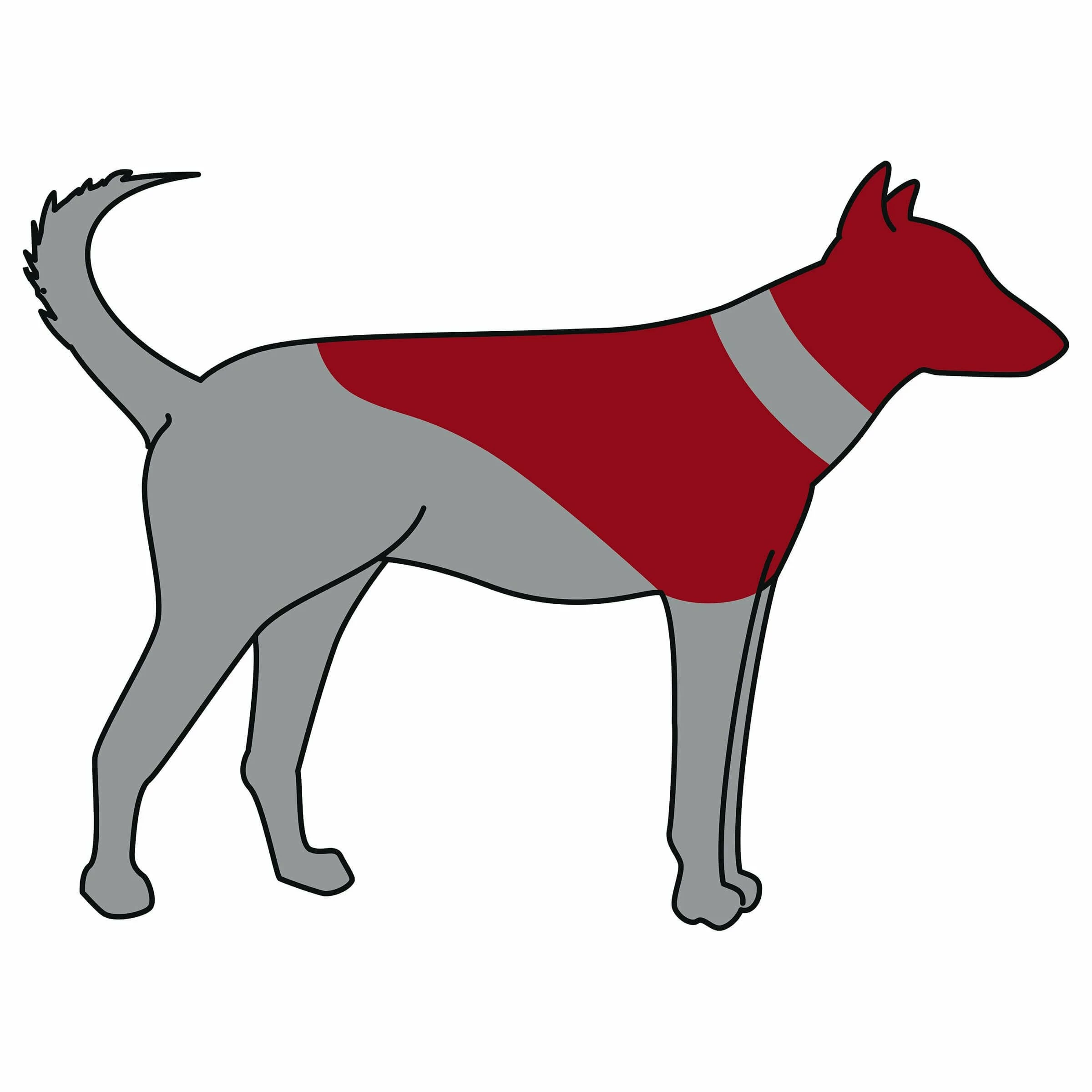 ANIBIO Schutzkragen Für Hunde Blau - Image 3