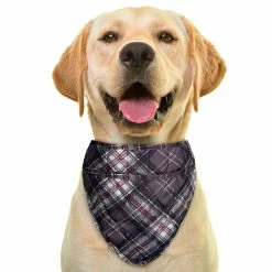 Aqua Coolkeeper Cooling Pet Bandana Kühlendes Bandana Scottish Grey