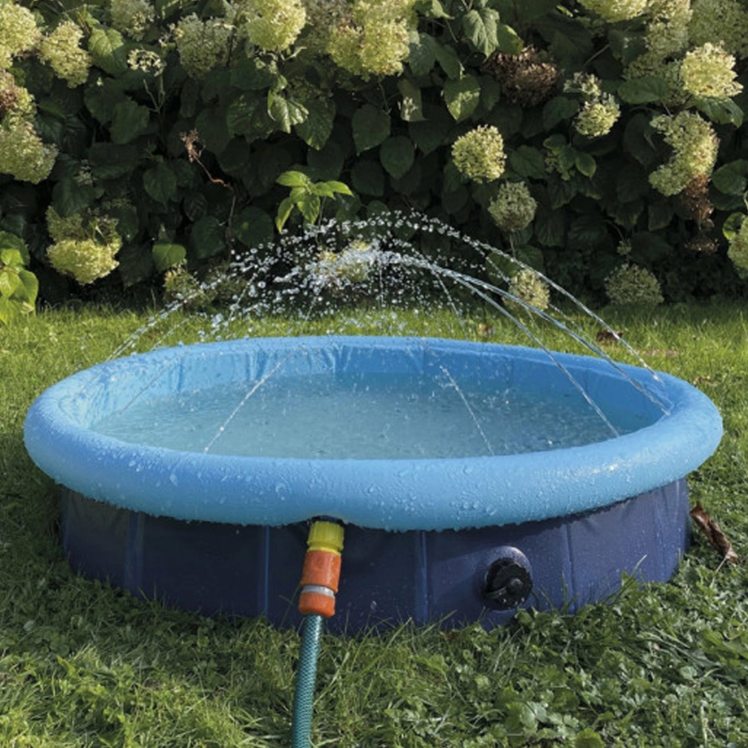 Nobby Splash Hundepool 2 In 1