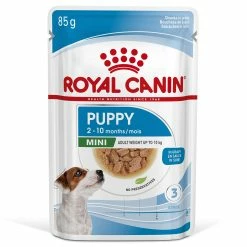 Royal Canin Hund Mini Puppy Welpenfutter Nass