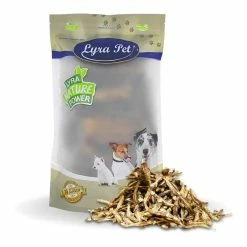 Lyra Pet Kleine Fische