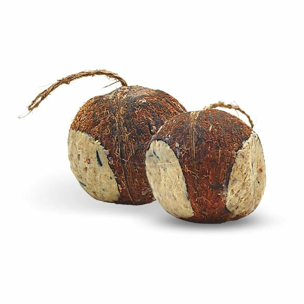 Lyra Pet Ganze Kokosnuss Mit 3 Löchern Gefüllt