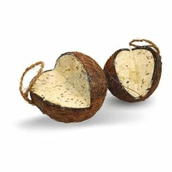 Lyra Pet Ganze Kokosnuss V-Cut Gefüllt