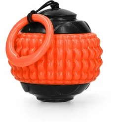 Dog Comets Ball Blazar Jet Orange