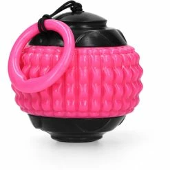 Dog Comets Ball Blazar Jet Rosa