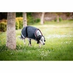 Amigo Dog Rug Ripstop Navy/Burgund/Weiß S