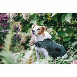 Kentucky Dogwear Kentucky Dog Coat Wasserdicht Olivgrün XS
