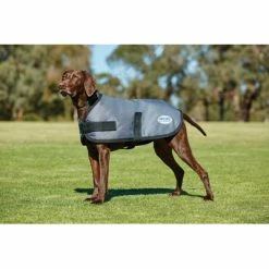 Weatherbeeta Parka Dog Coat Comfitec Classic Dunkelgrau 70cm