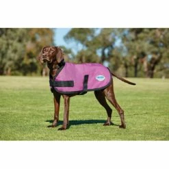 Weatherbeeta Parka Dog Coat Comfitec Classic Pink 25cm