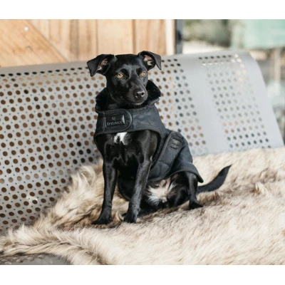 Kentucky Dogwear Kentucky Dog Coat Schwarz 25cm - Image 2