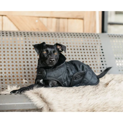 Kentucky Dogwear Kentucky Dog Coat Schwarz 46cm - Image 3