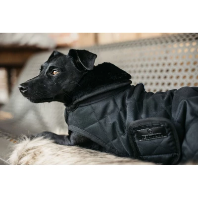 Kentucky Dogwear Kentucky Dog Coat Schwarz 25cm - Image 4