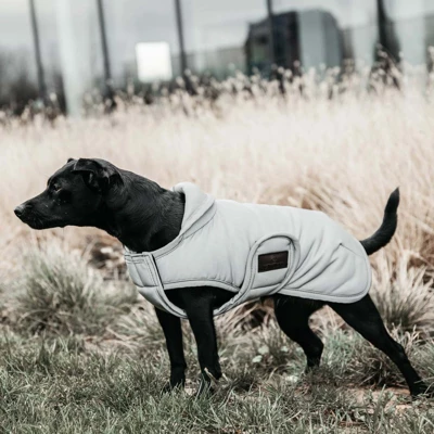 Kentucky Dogwear Kentucky Dog Coat Reflective & Water Repellent Belly Cover 150g 52173-42-XL - Image 2