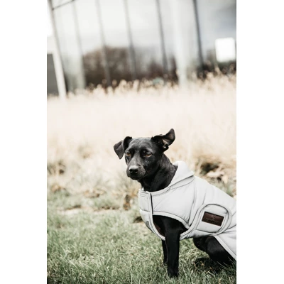 Kentucky Dogwear Kentucky Dog Coat Reflective & Water Repellent Belly Cover 150g 52173-42-XL - Image 3