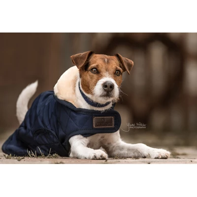 Kentucky Dogwear Kentucky Dog Coat Navy 56cm - Image 2