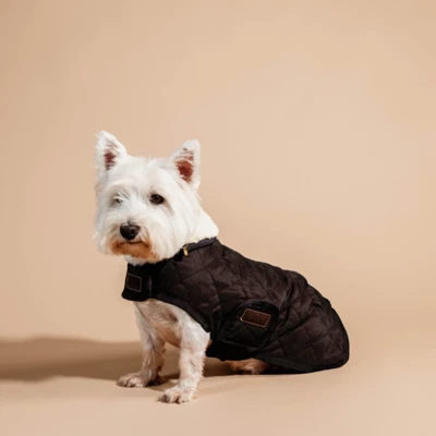 Kentucky Dogwear Kentucky Dog Coat Original Braun 76cm - Image 2