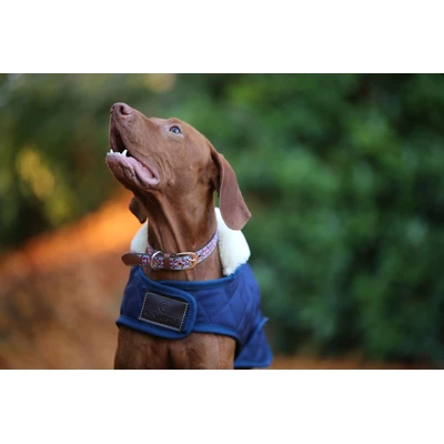 Kentucky Dogwear Kentucky Dog Coat Navy 56cm - Image 4