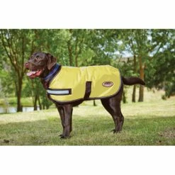 Weatherbeeta ComFiTec Reflective Parka 300D Dog Coat 220g 808096 Yellow