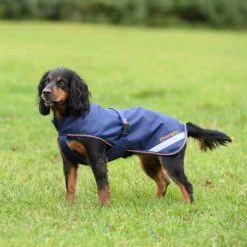 Bucas Dog Rug Navy/Orange 60cm