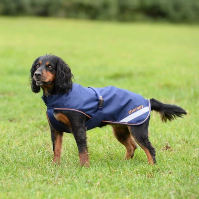 Bucas Dog Rug Navy/Orange 70cm