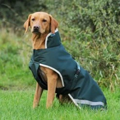 Bucas Green Line Dog Rug Grün 55cm