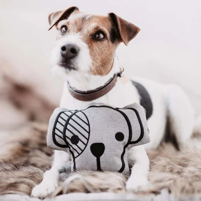 Kentucky Dogwear Kentucky Hundespielzeug Dog Head Full