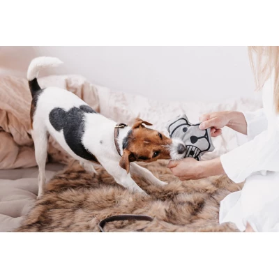 Kentucky Dogwear Kentucky Hundespielzeug Dog Head Full - Image 3